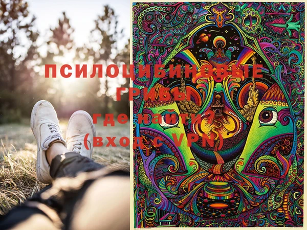 не бодяженный Осинники