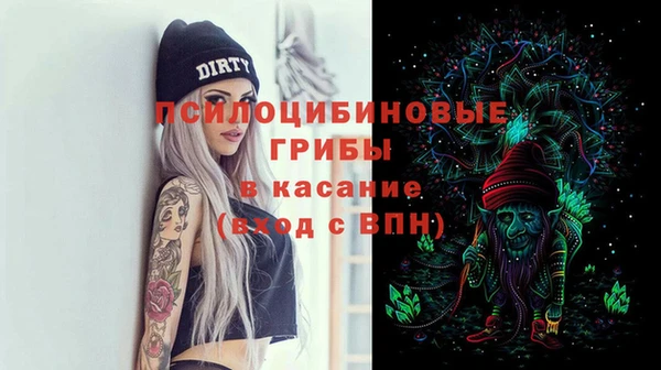 не бодяженный Осинники
