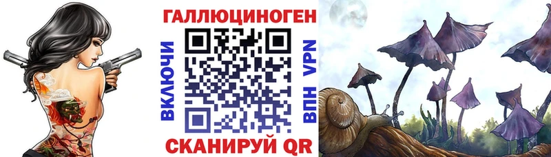 Купить закладки  Себеж  Галлюциногенные грибы Cubensis 